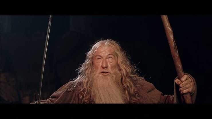 Gandalf telling you that you should stay where you are